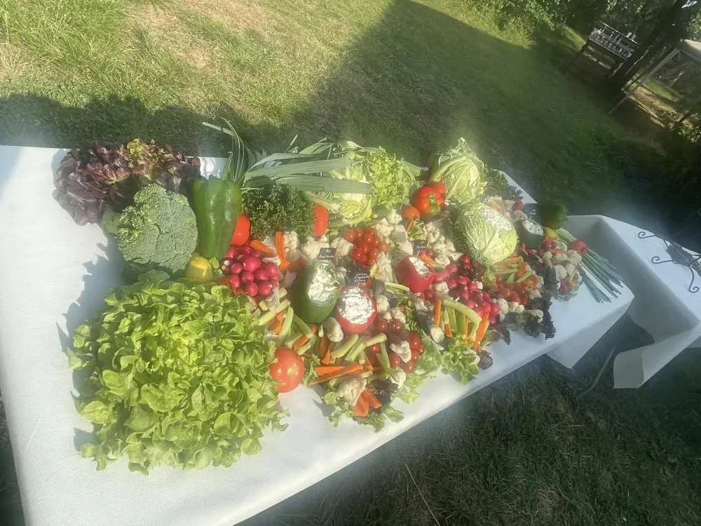 Traiteur evenements (20)